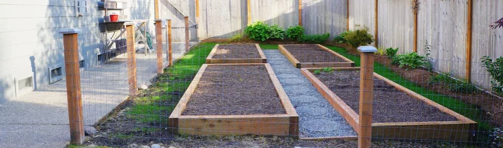 Czym ogrodzić grządki, aby skutecznie chronić rośliny przed szkodnikami