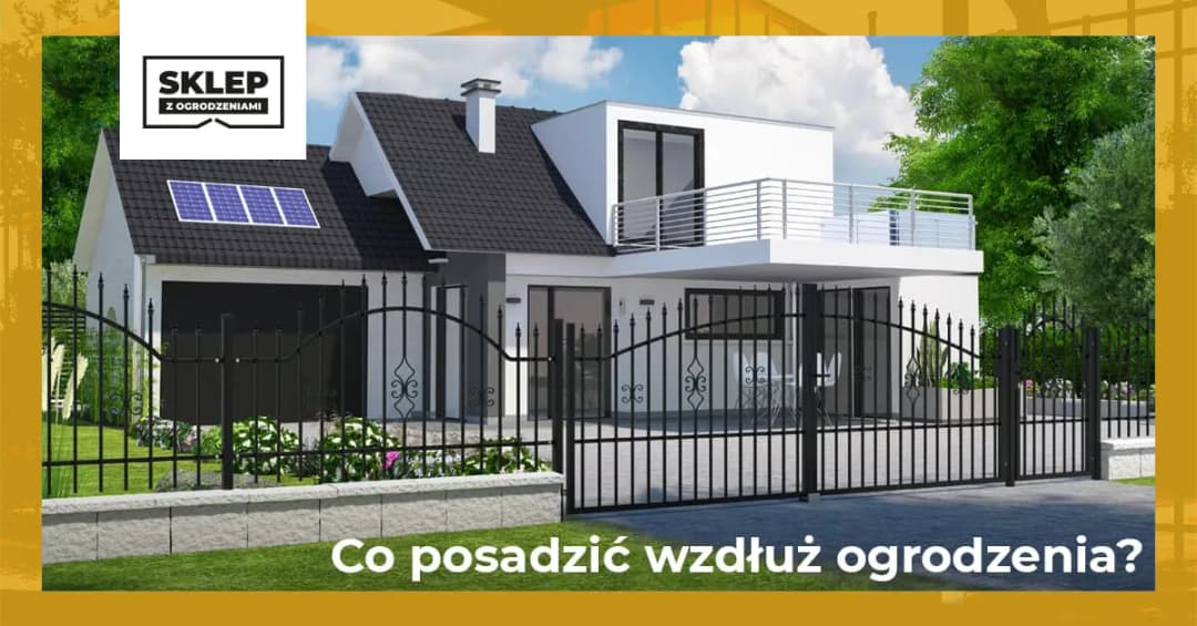 Czym obsadzić płot, aby zyskać piękno i prywatność w ogrodzie